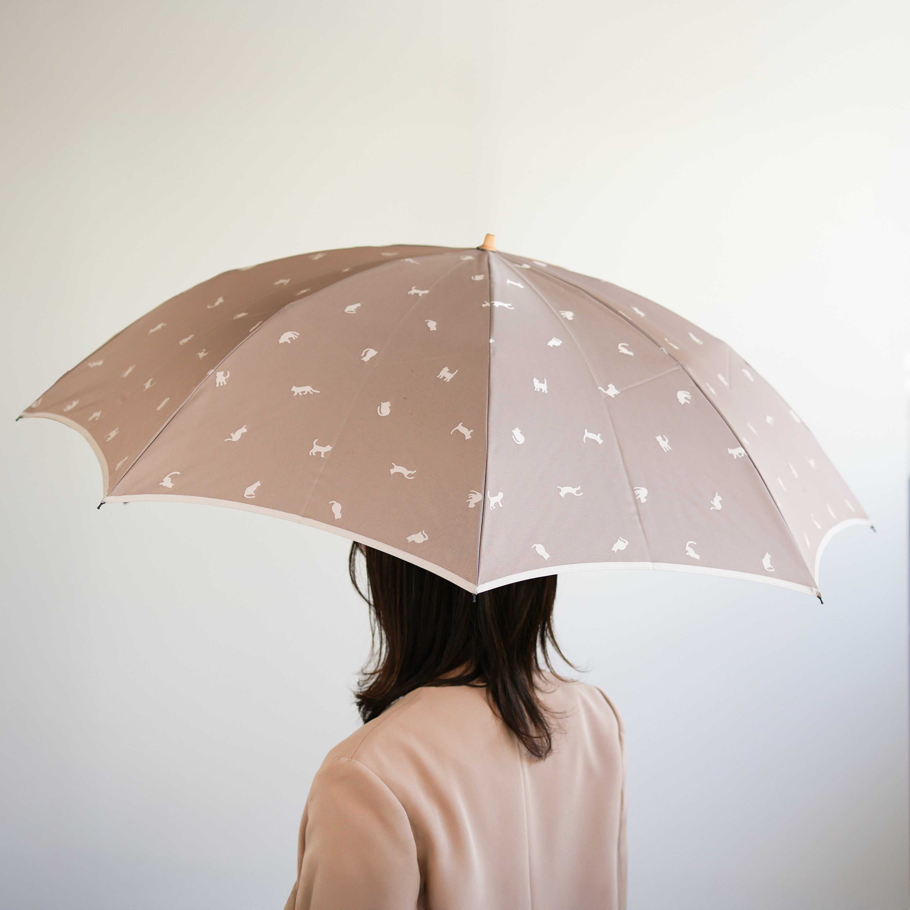 ひだまりねこ 折りたたみ傘 55cm 8本骨