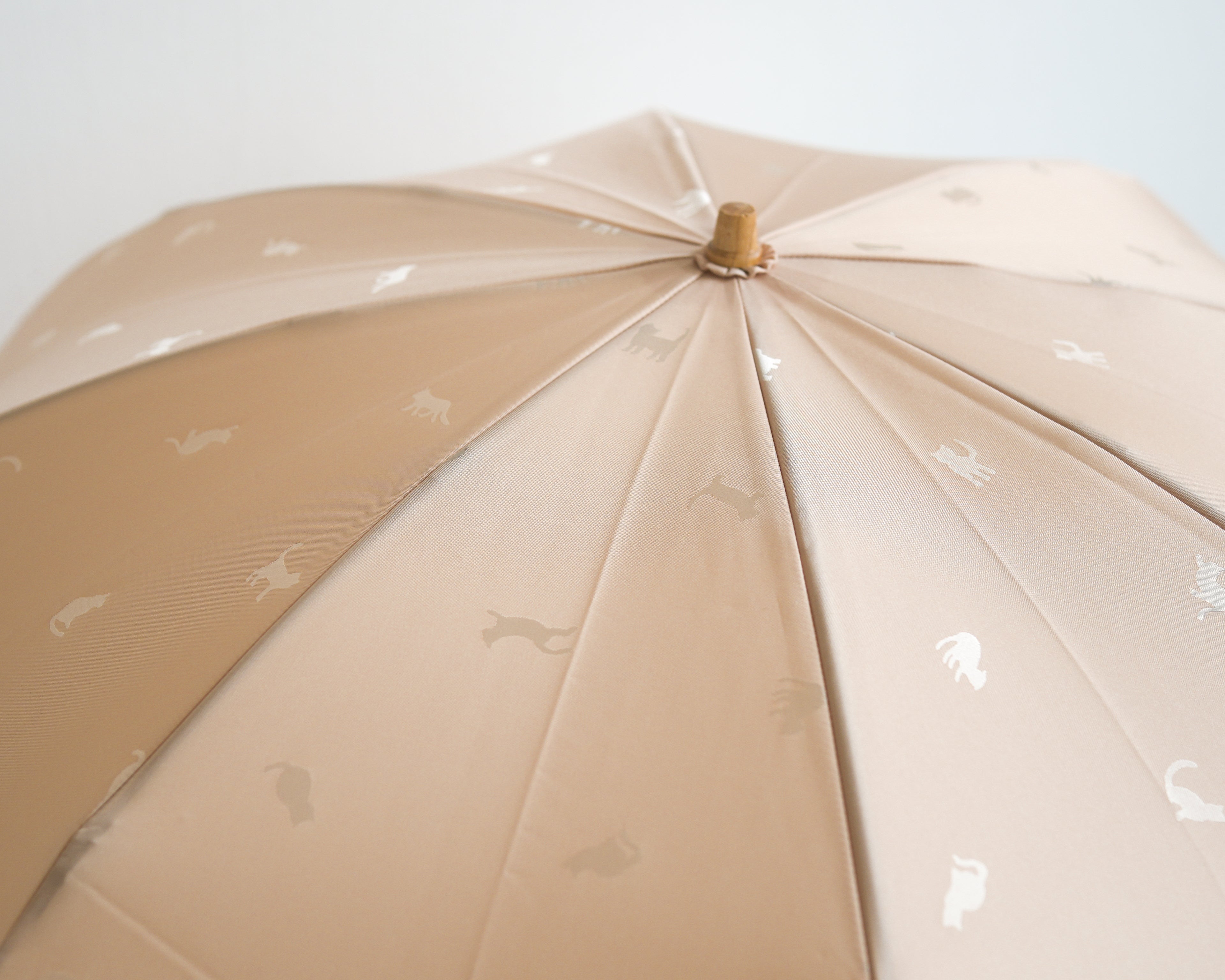 ひだまりねこ 折りたたみ傘 55cm 8本骨