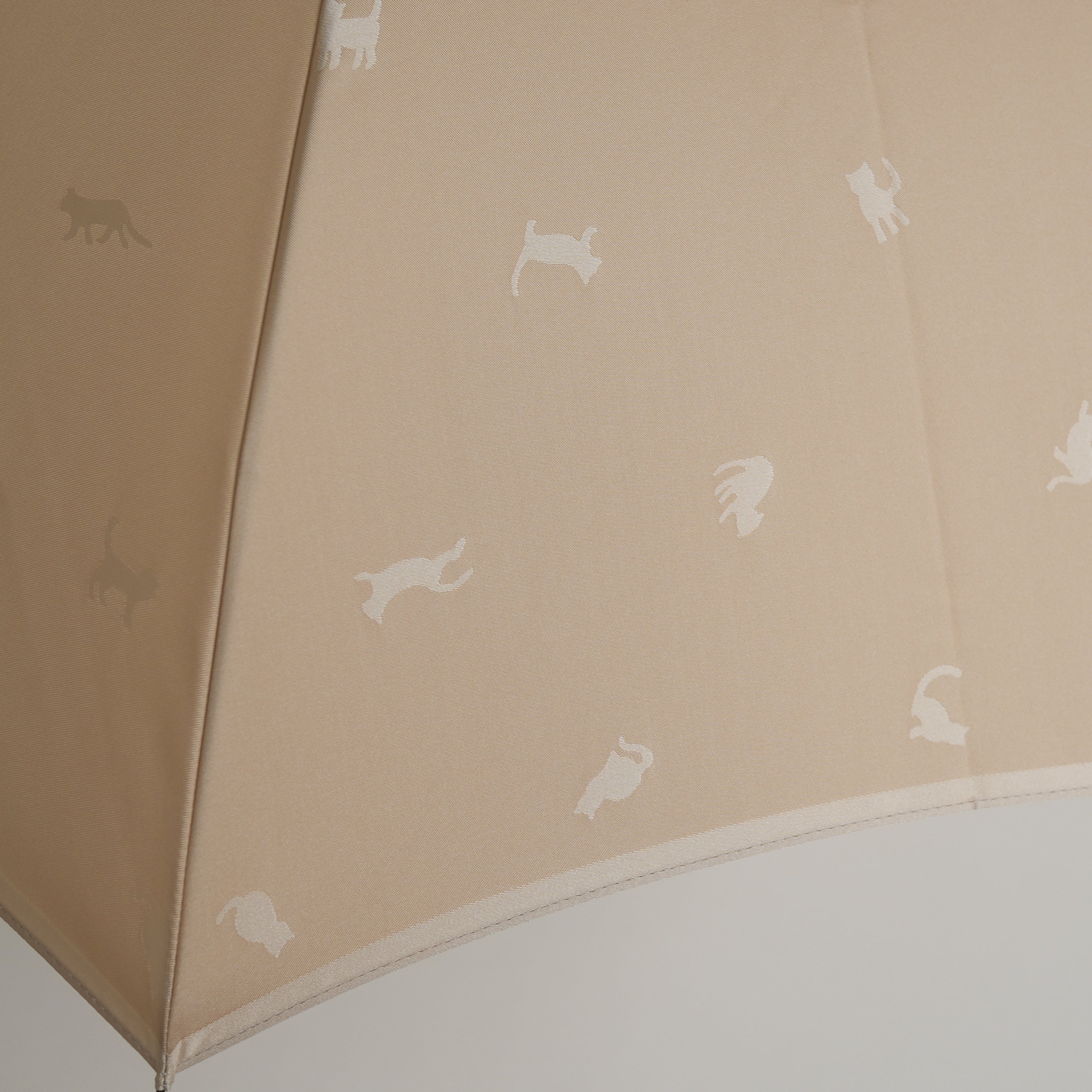 ひだまりねこ 折りたたみ傘 55cm 8本骨