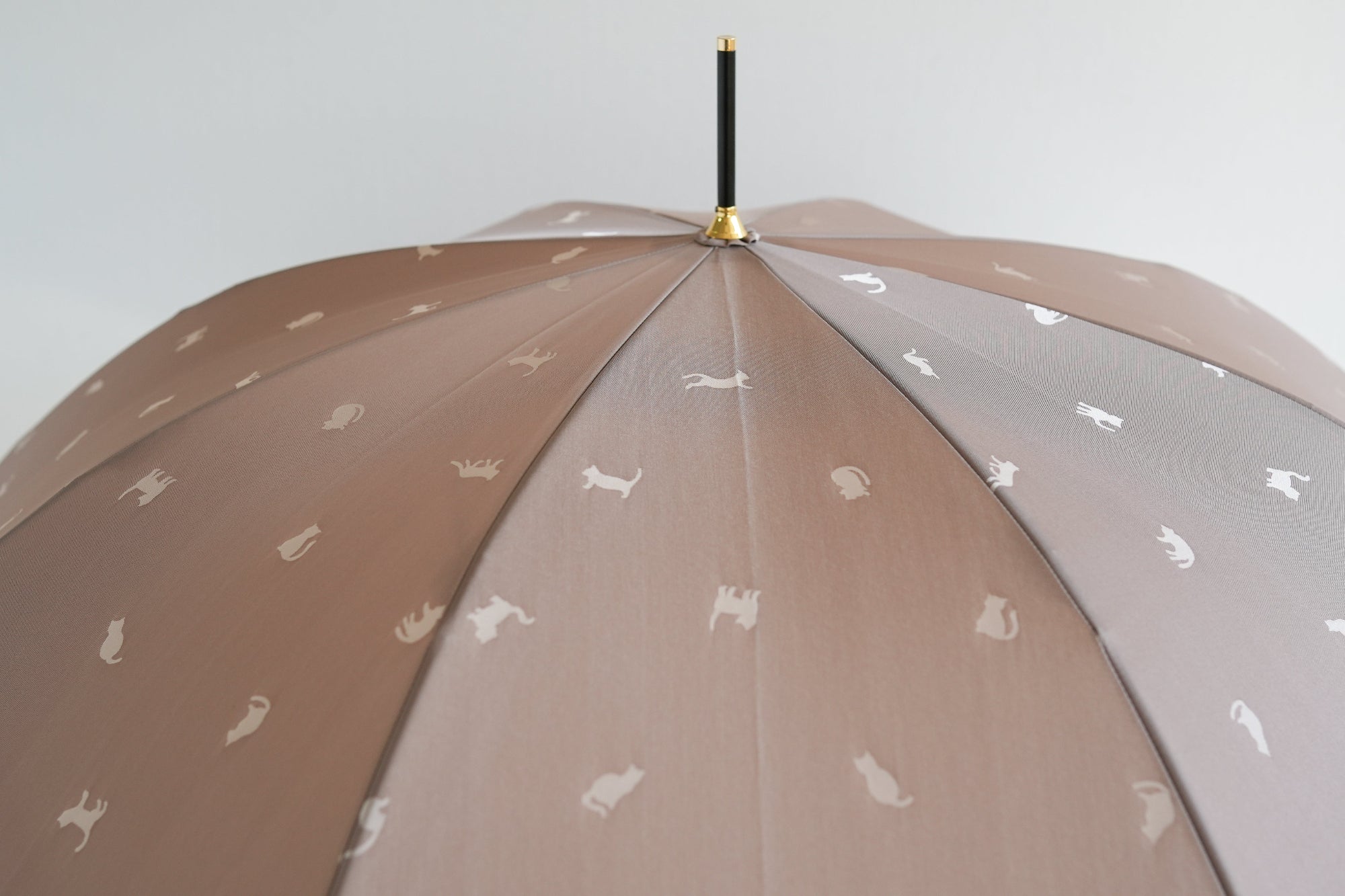 ひだまり ねこ 58cm 8本骨 スリム