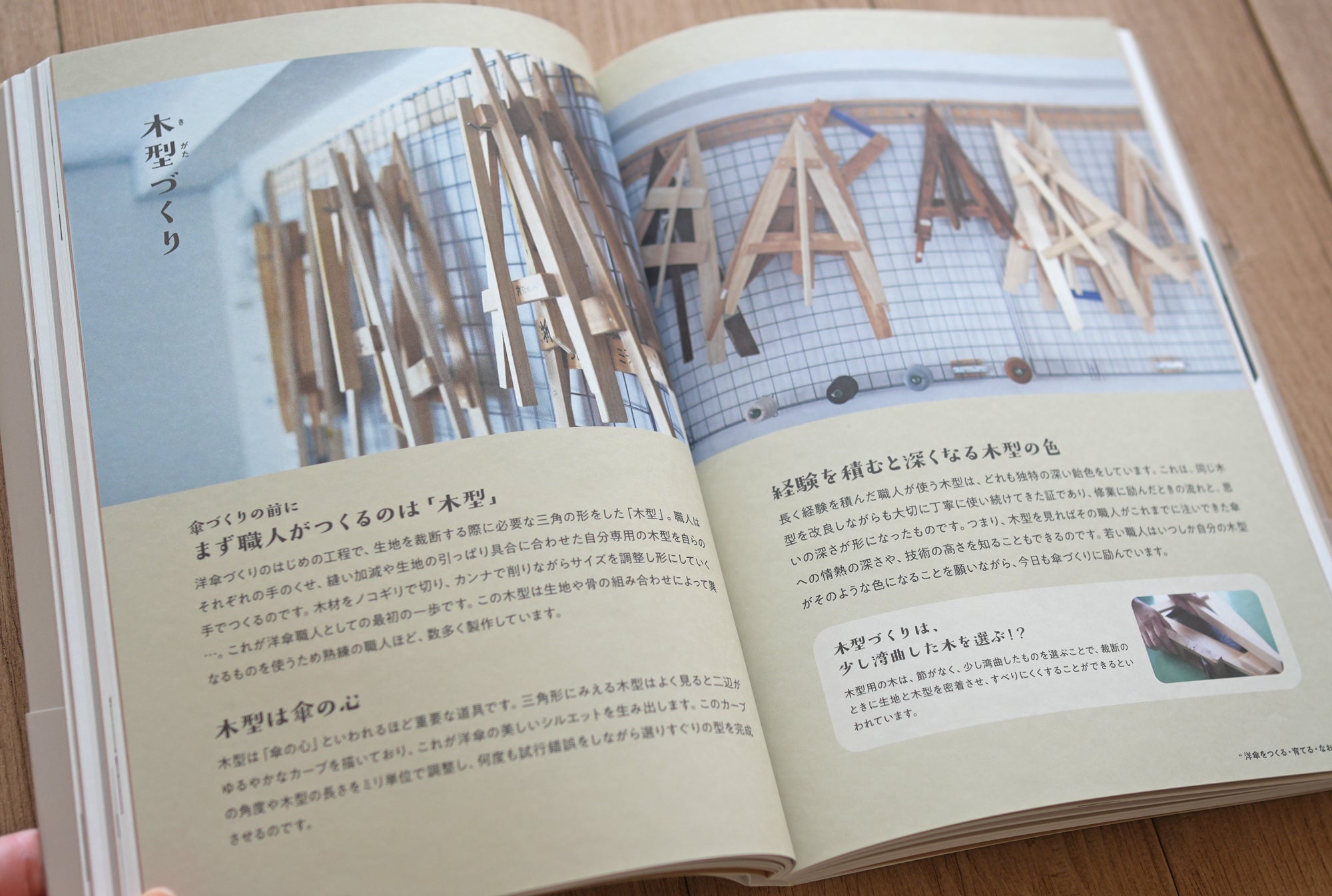 『詳しく楽しく学べる 洋傘の教科書 1%以下の洋傘のこと』