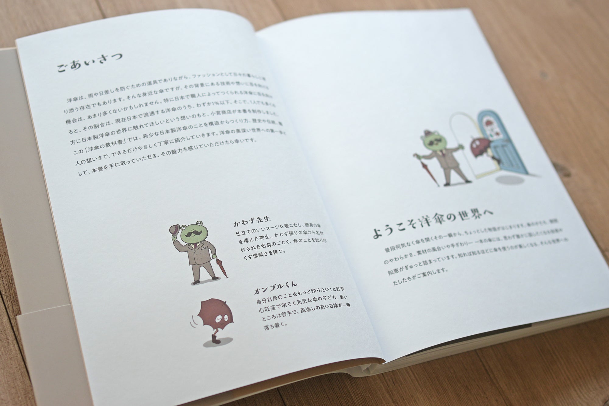 『詳しく楽しく学べる 洋傘の教科書 1%以下の洋傘のこと』