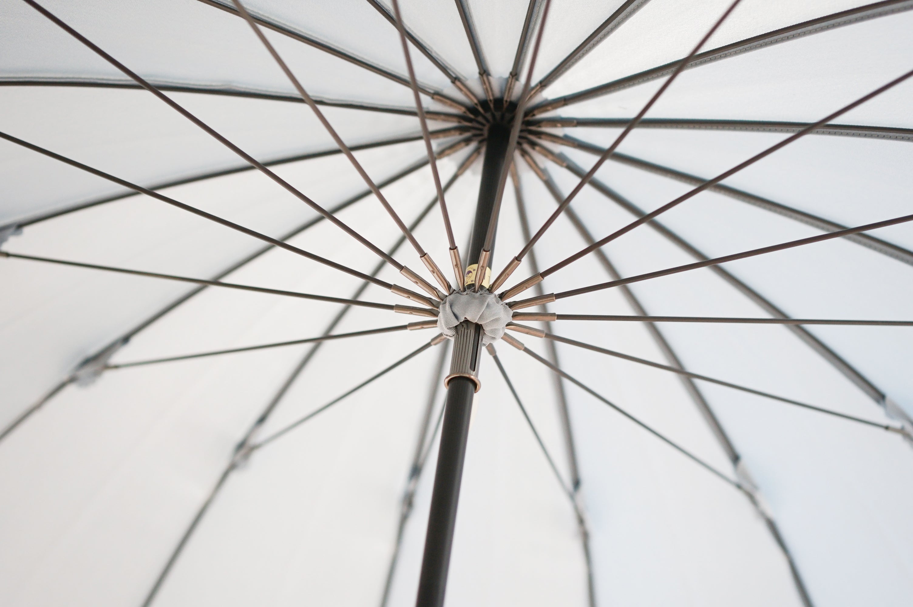 長傘 レディース 雨晴兼用傘 傘骨と中棒